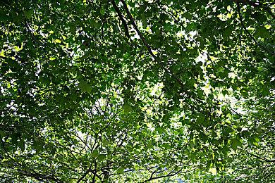 《命运2》最新更新 14把异域武器获得平衡性更改 